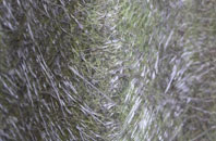 Gendros fibreglass roof work